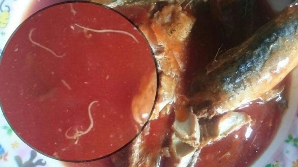 Dampak Diumumkan 27 Merek Dalam Ikan Kalengan Tercemar Cacing