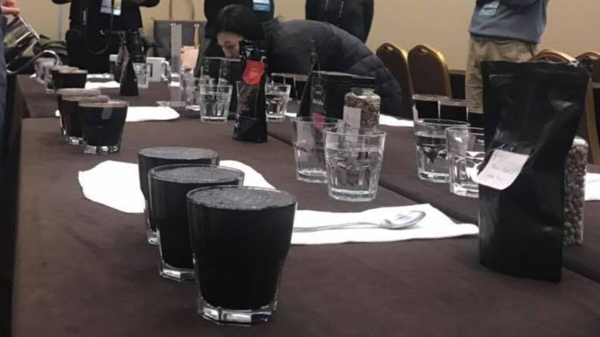 Kebudayaan Kopi & Perkembangannya