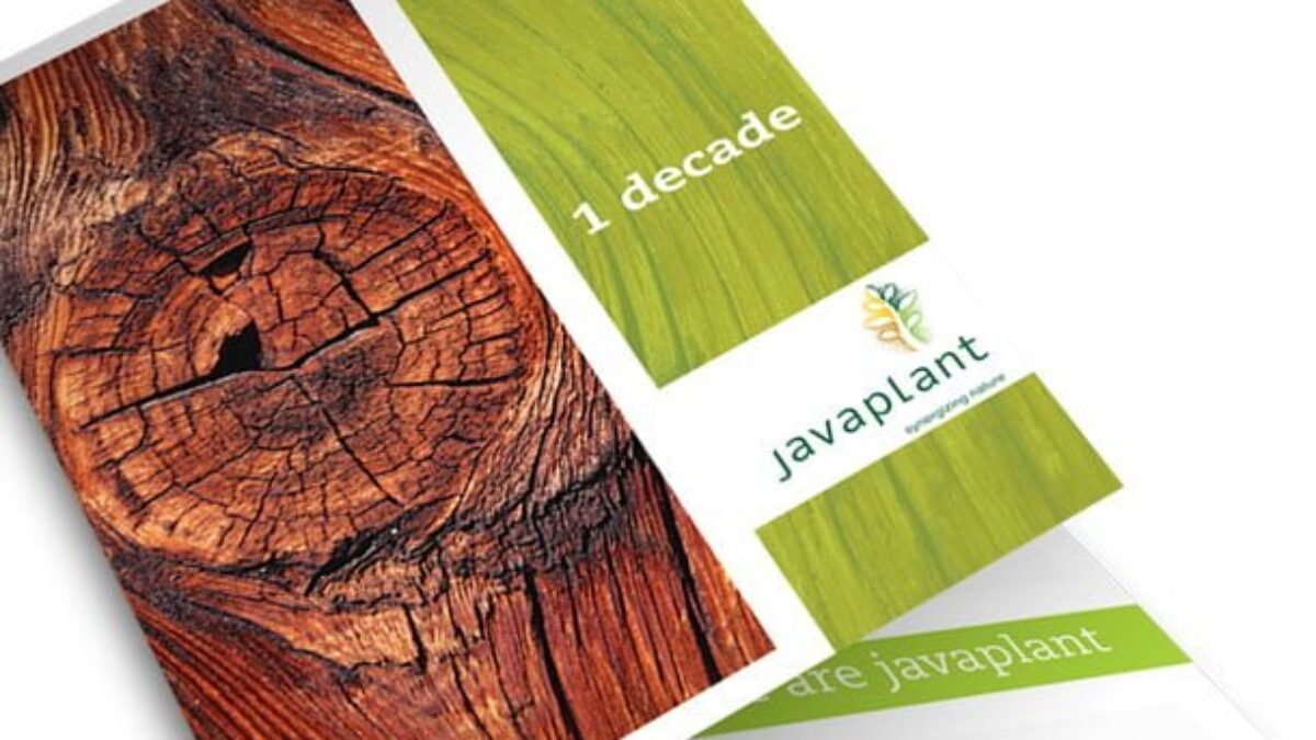 Javaplant Lebih Suka Beriklan di Media Massa Mainstream