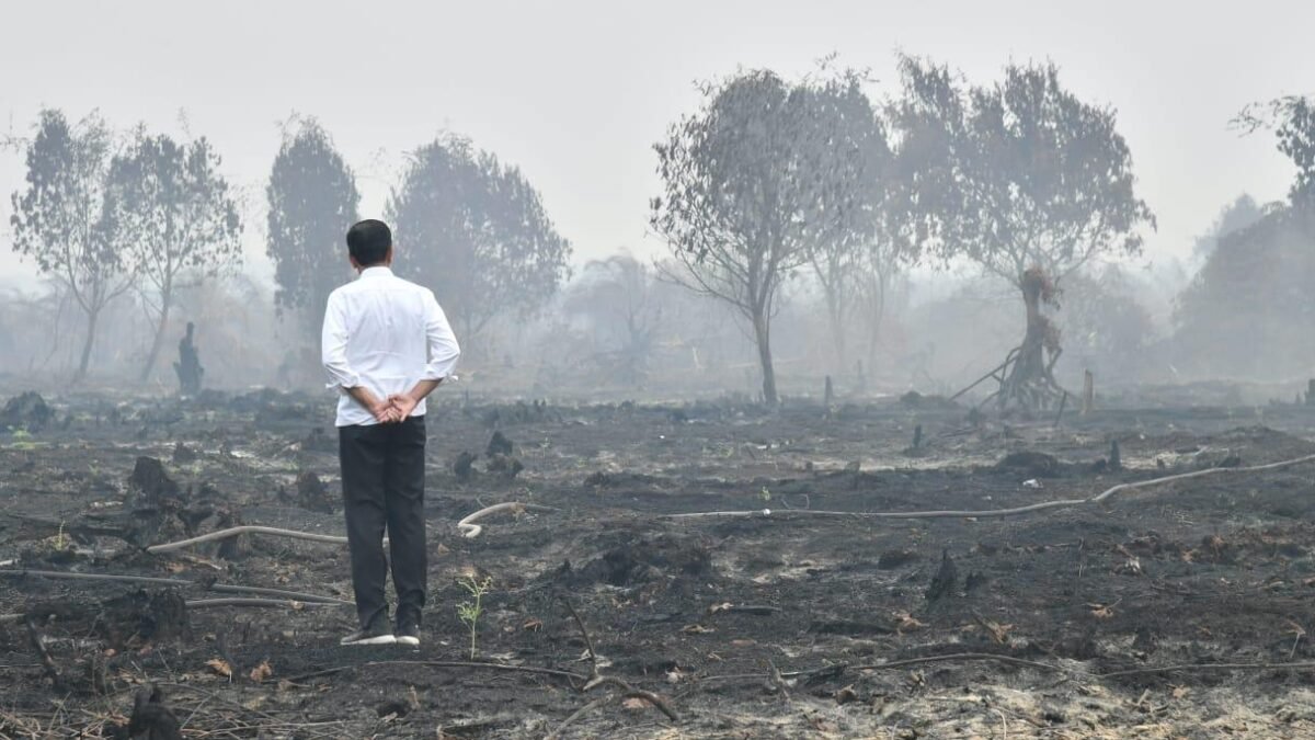 Ternyata Perusahaan Besar Dalang Kabut Asap, Konglomerat Kita
