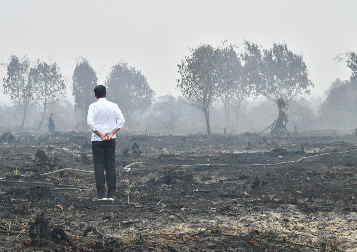 Ternyata Perusahaan Besar Dalang Kabut Asap, Konglomerat Kita