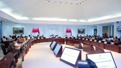 Jokowi Punya Pilihan, Melindungi Industri atau Melindungi Pemain Gas