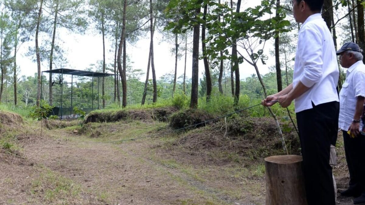 Penanaman Pohon Serentak Di Kawasan Taman Nasional Gunung Merapi