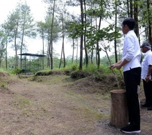 Penanaman Pohon Serentak Di Kawasan Taman Nasional Gunung Merapi