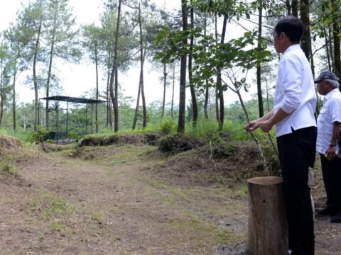 Penanaman Pohon Serentak Di Kawasan Taman Nasional Gunung Merapi