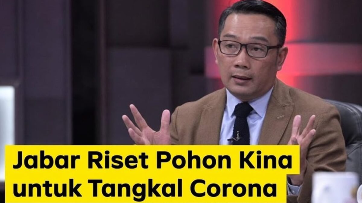 Tanaman Kina Terbukti Manjur Sembuhkan Malaria, Bisa Untuk Sembuhkan Virus Corona Juga?