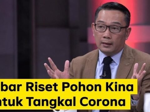 Tanaman Kina Terbukti Manjur Sembuhkan Malaria, Bisa Untuk Sembuhkan Virus Corona Juga?