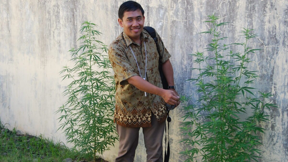Kementan Menjawab Isu Tanaman Ganja Dalam Kepmentan 104/2020 Kementan Menjawab Isu Tanaman Ganja Dalam Kepmentan 104/2020