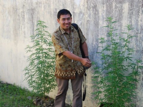 Kementan Menjawab Isu Tanaman Ganja Dalam Kepmentan 104/2020