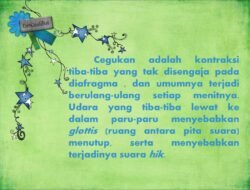Bagaimana Menangani Cegukan?