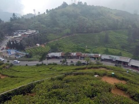 Wisata Seks Halal Dalihnya Kawin Mut’ah