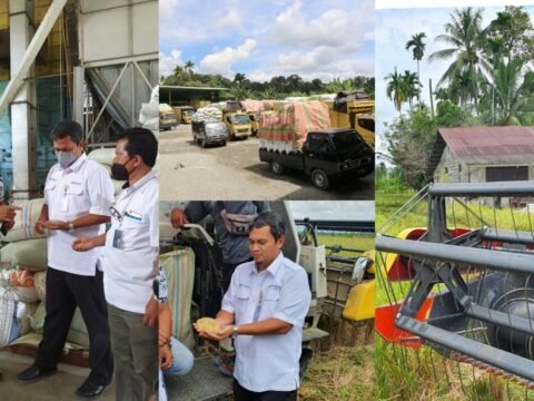 BULOG Mulai Serap Beras Prov Paling Barat Indonesia