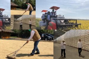 BULOG: Stok Beras Nasional Aman Capai 1 Juta Ton