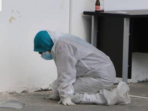 Imunologi Awam Serangan Virus