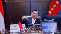 Luhut