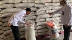 Presiden-cek-beras