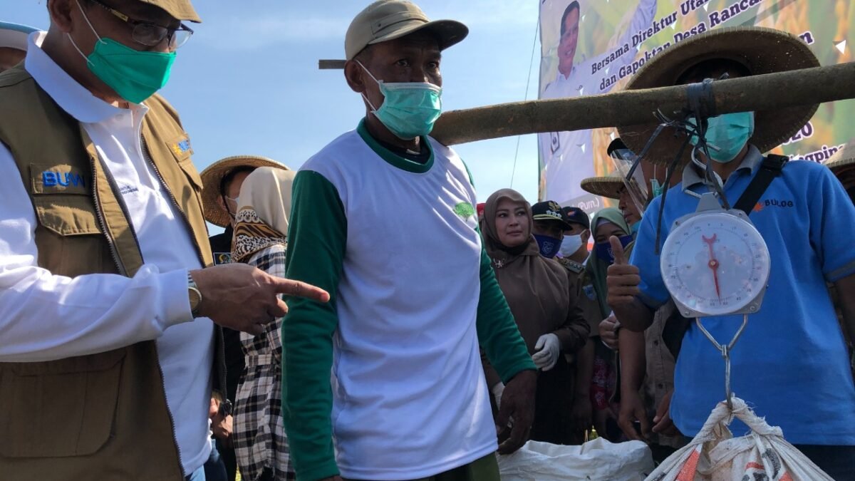 BULOG Cermati Isu Harga Beras Di Tengah Panen Yang Berlimpah