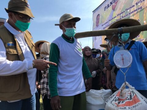 BULOG Cermati Isu Harga Beras Di Tengah Panen Yang Berlimpah