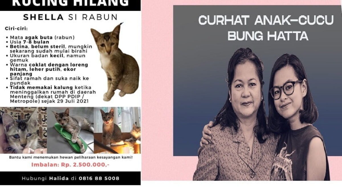 Putri Proklamator Mohammad Hatta Kehilangan Kucing, Trending di Portalnya Anak Muda