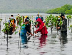 Esai Foto Presiden Nyemplung, Saat Tanam Mangrove Bersama Masyarakat Batam