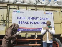 BULOG Berhasil Serap 1 Juta Ton Beras Petani Lokal BULOG Berhasil Serap 1 Juta Ton Beras Petani Lokal