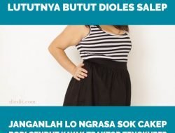 Burung Perkutut Burung Kutilang, Kamu Kentut Enggak Bilang Bilang