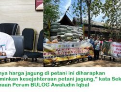 BULOG Siap Laksanakan Penugasan Penyediaan dan Penyaluran Jagung