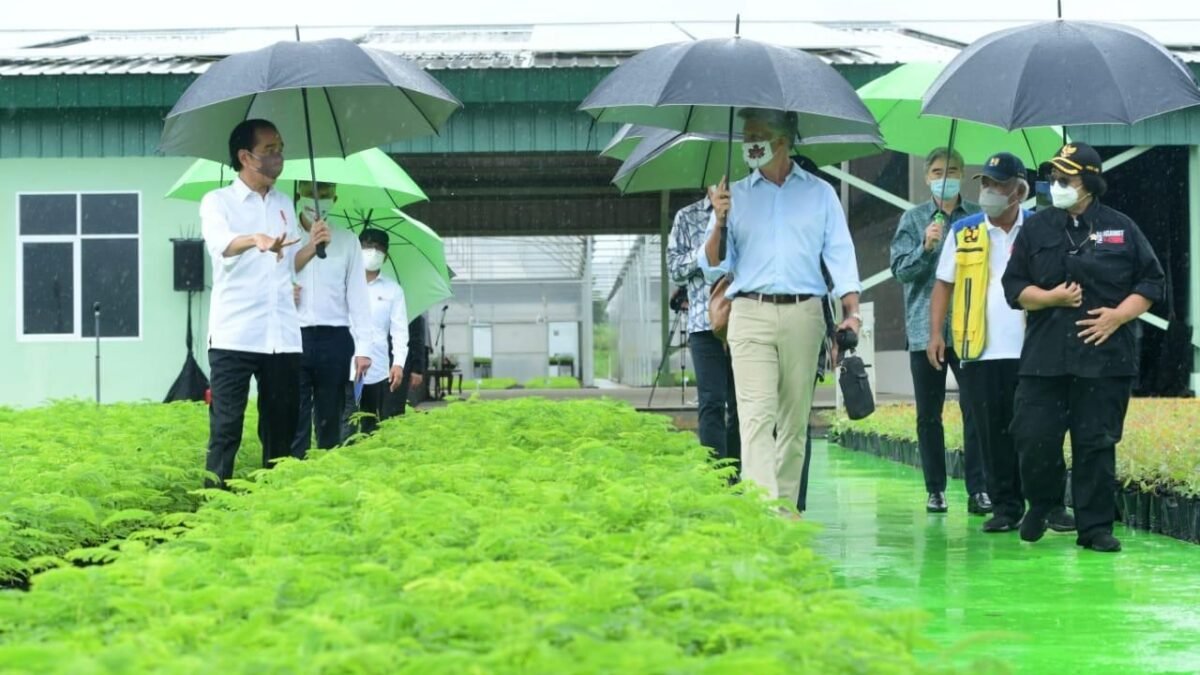 Jokowi: Indonesia Serius Menangani Dampak Perubahan Iklim Jokowi: Indonesia Serius Menangani Dampak Perubahan Iklim