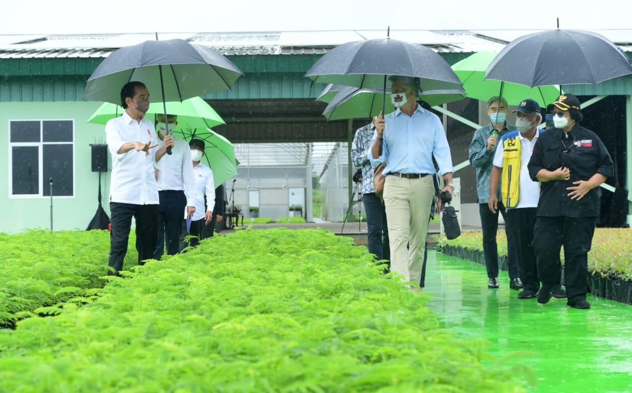 Jokowi: Indonesia Serius Menangani Dampak Perubahan Iklim