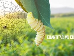Kuantitas VS Kualitas