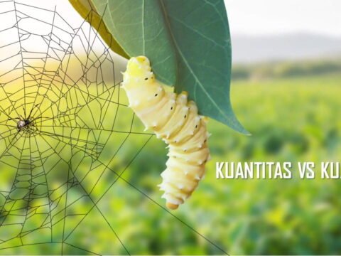 Kuantitas VS Kualitas