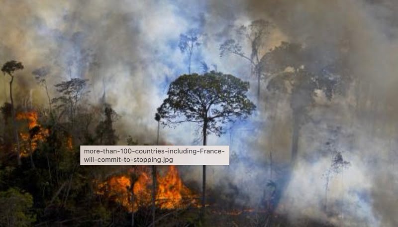 Kita Bangsa Indonesia diserang Green Peace, Ternyata Karena Ini