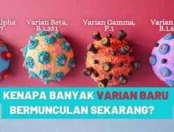 Varian Alpha Coronavirus Berevolusi Agar Hindari Sistem Kekebalan Tubuh