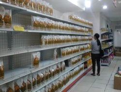 Hardi Peneliti Public Watch Integrity Memberi Solusi Kelangkaan Minyak Goreng Sawit