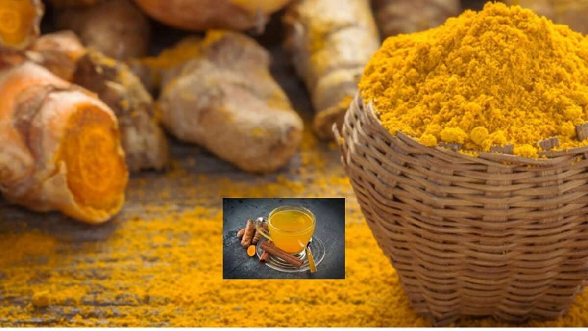 Temulawak Indonesia Saingi Ginseng Korea