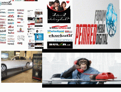 Setujukah Anda Dengan Survei Seks Ini?