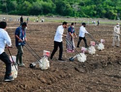 Presiden Dorong Pemanfaatan Teknologi Sistem Pertanian di NTT