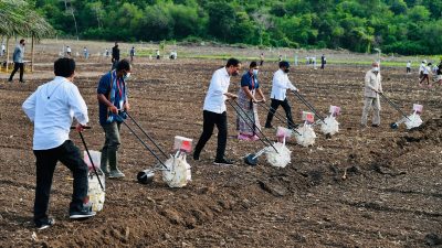 Presiden Dorong Pemanfaatan Teknologi Sistem Pertanian di NTT