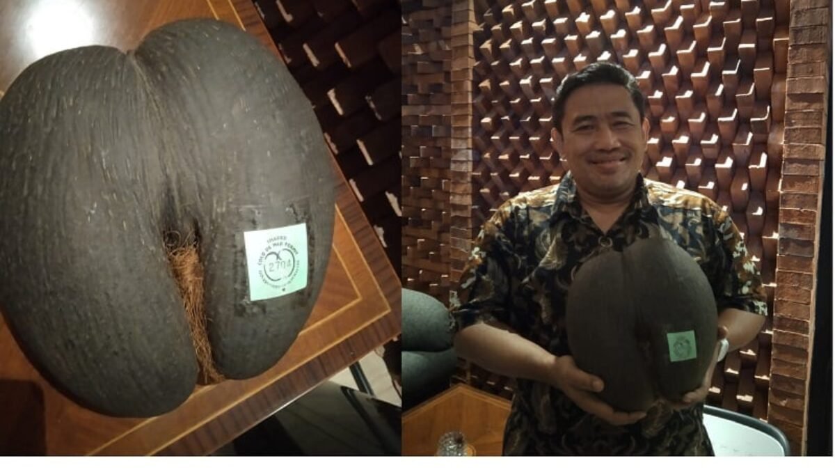 Pimpinan Media Siap Jadi Agen Perubahan Dalam Pembangunan Ekonomi Biru