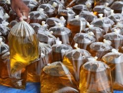 Minyak Goreng Sukses Diuji Coba Jadi Bahan Bakar Pesawat Raksasa Airbus A380