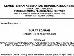 Kemenkes Tentang Penyakit Misterius Pasca Lebaran 2022, Klik ini