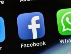 Netflix, TikTok, Spotify, dan Instagram, Facebook, serta WhatsApp Sudah Daftar PSE Kominfo.