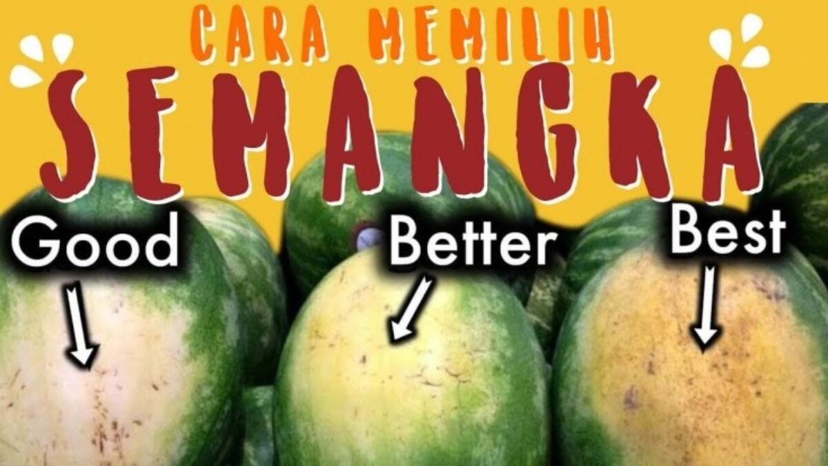 Memilih Semangka Manis, Ini Kiatnya Memilih Semangka Manis, Ini Kiatnya