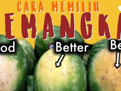Memilih Semangka Manis, Ini Kiatnya
