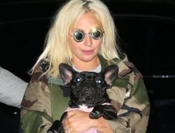 Penembak Anjing Milik Lady Gaga Dihukum Penjara 21 Tahun