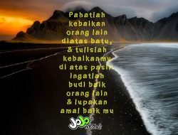 Light Triad Personality