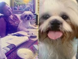 Kisah Nyata Melacak Si Clearky (3) Pelipur Lara Putus Cinta