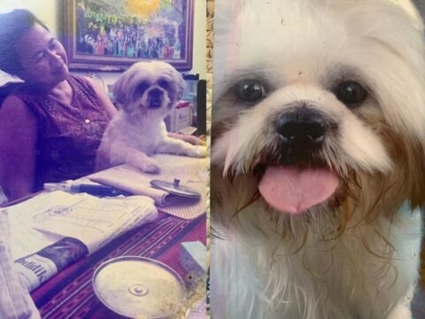 Kisah Nyata Melacak Si Clearky (3) Pelipur Lara Putus Cinta