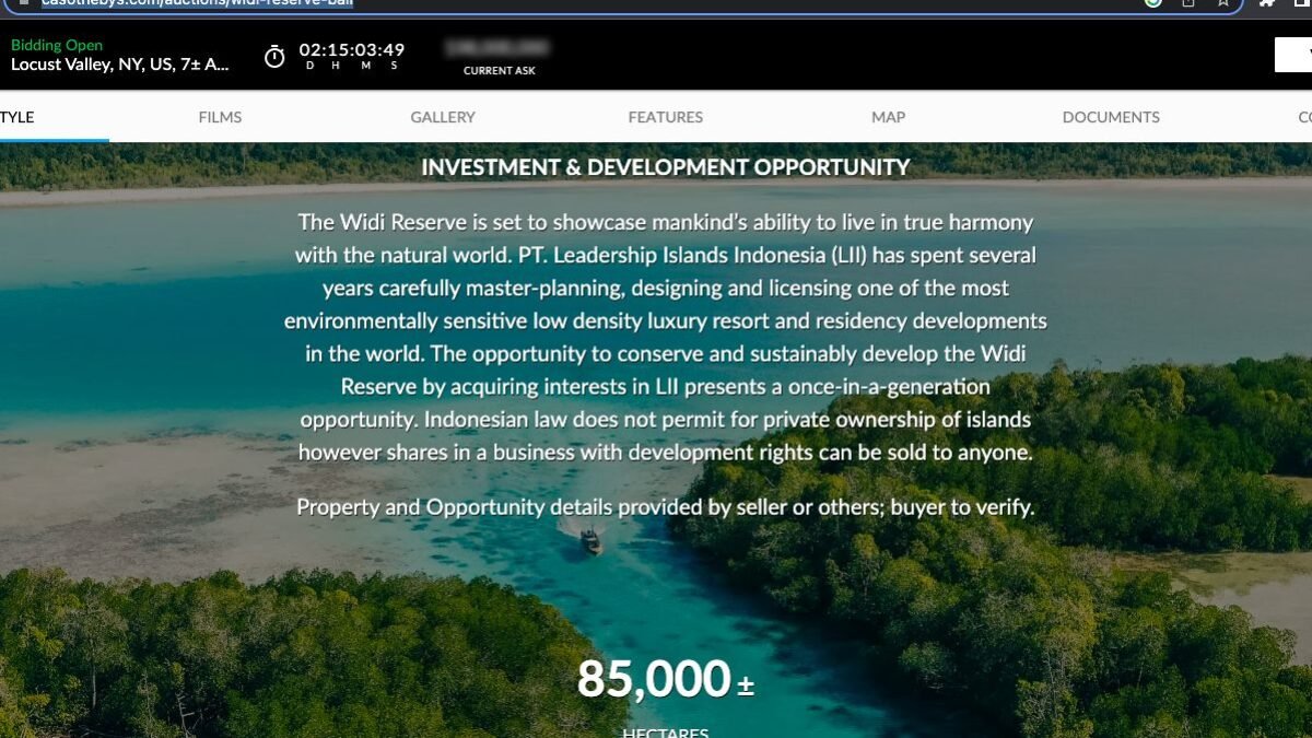Lelang Pengelolaan Kepulauan Widi di Maluku Utara, di Sotheby’s