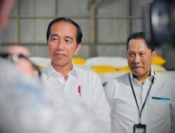 Esai Foto Presiden Tinjau Ketersediaan Stok Beras Gudang Bulog Batangase, Kabupaten Maros, Provinsi Sulawesi Selatan